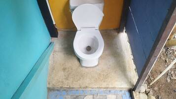 Serviettes fournies, savon, papier toilette