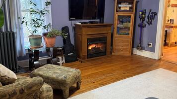 Smart TV, chimenea, reproductor de DVD y libros