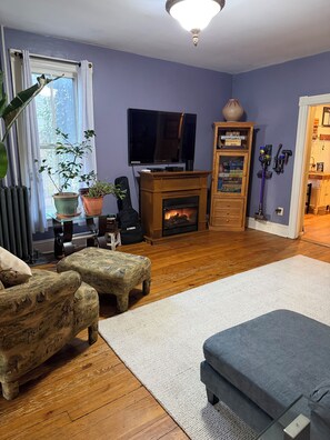 Smart TV, fireplace, DVD player, books