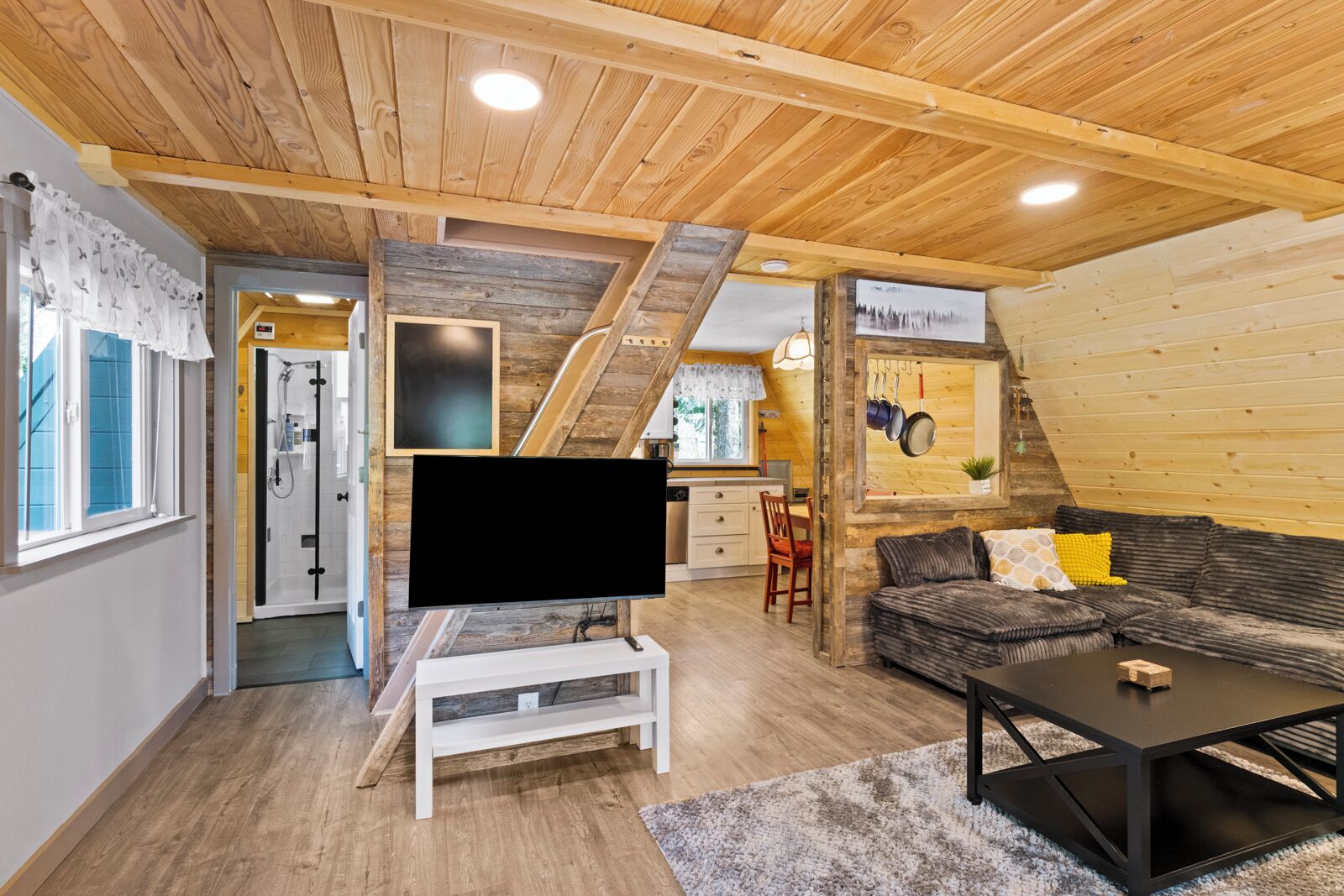 TV, fireplace, books