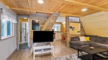 TV, fireplace, books