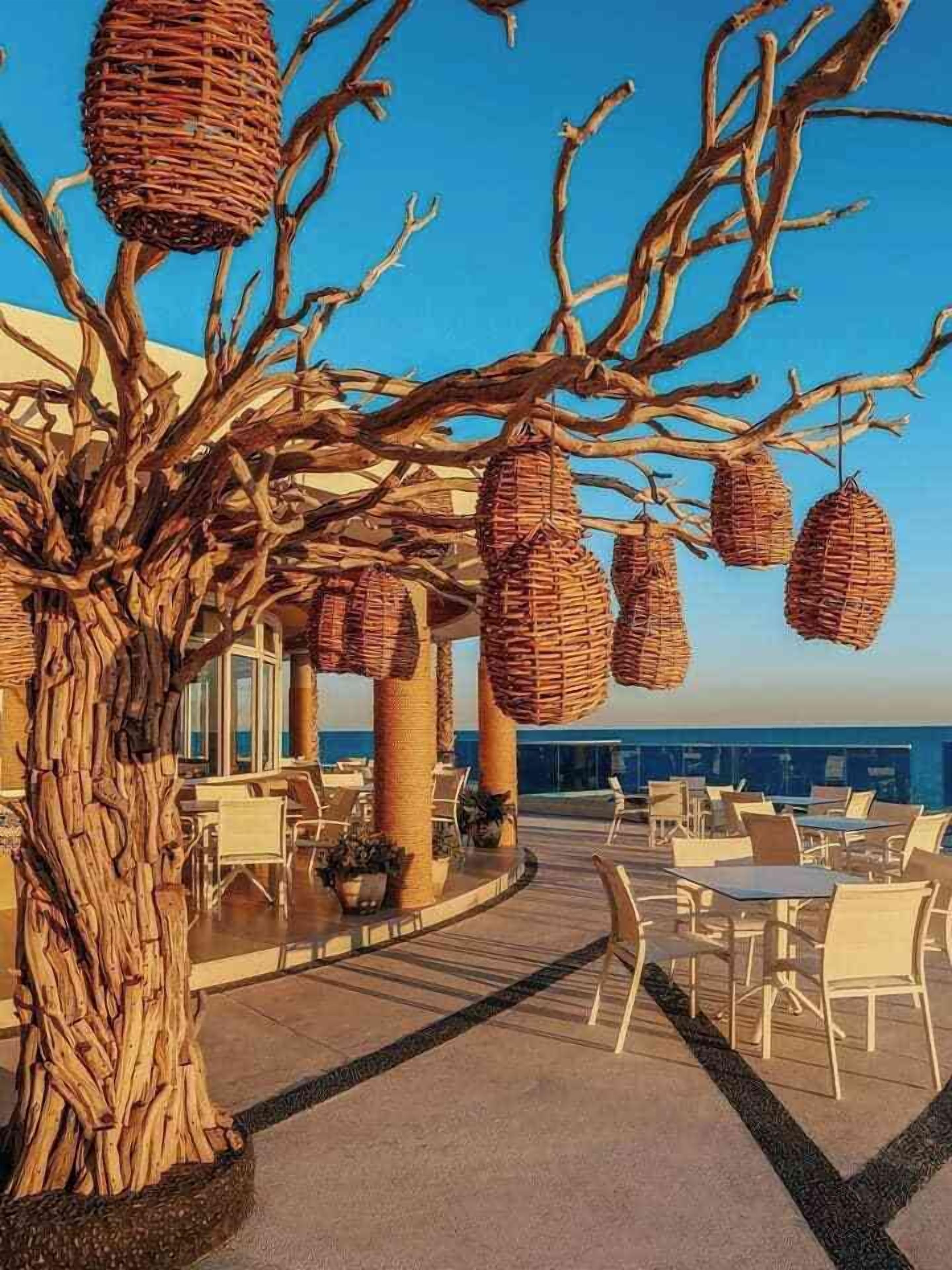A tree with wicker baskets hanging from its branches, outdoor seating, and a view of the ocean.