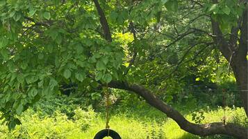 A grassy area with a tire swing hanging from a tree.
