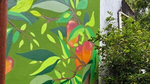 A room with a green wall and a mural of a tree with fruit. - HOSTEL MANGUEIROSA (Belem)