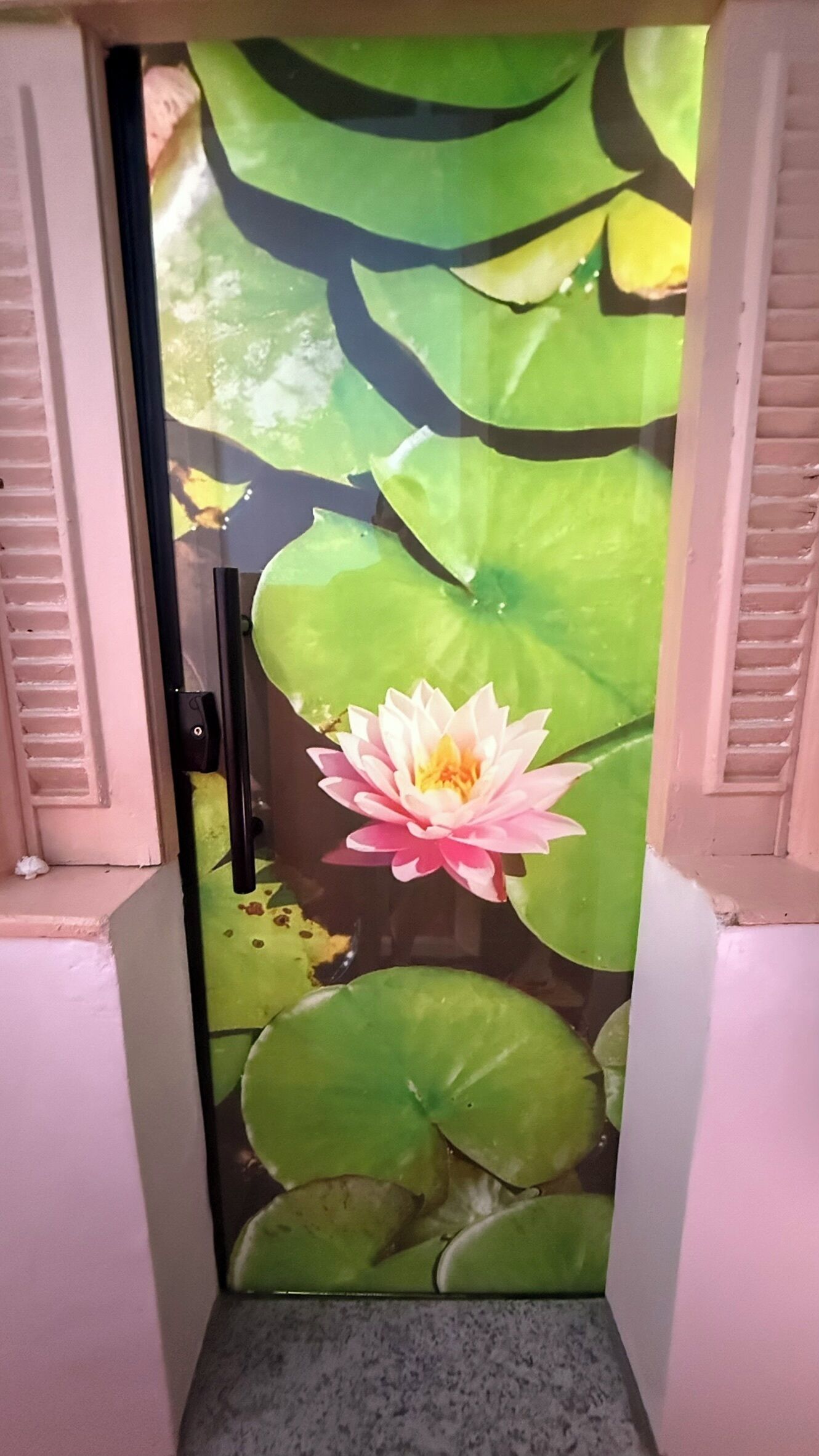 Photo - Mangueirosa Hostel