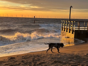 A beach with waves, a dog, and wind turbines in the background. - 2 Bed Caravan - Sleeps 6 - Dogs - Parking - Wifi (point)