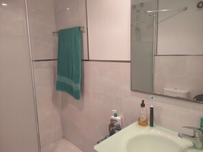 Shower, hair dryer, towels