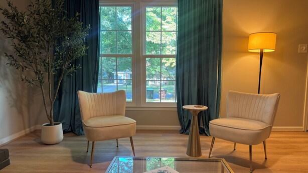 A living room with two armchairs, a glass coffee table, a floor lamp, a potted plant, and a view through a large window. - Chic 3 Bedroom Midcentury Modern Retreat in Wonderful Greensboro (Greensboro)
