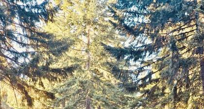 Spacious 4 Bed + Lakes + ATV trails!