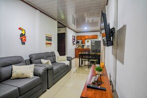 Televisión 