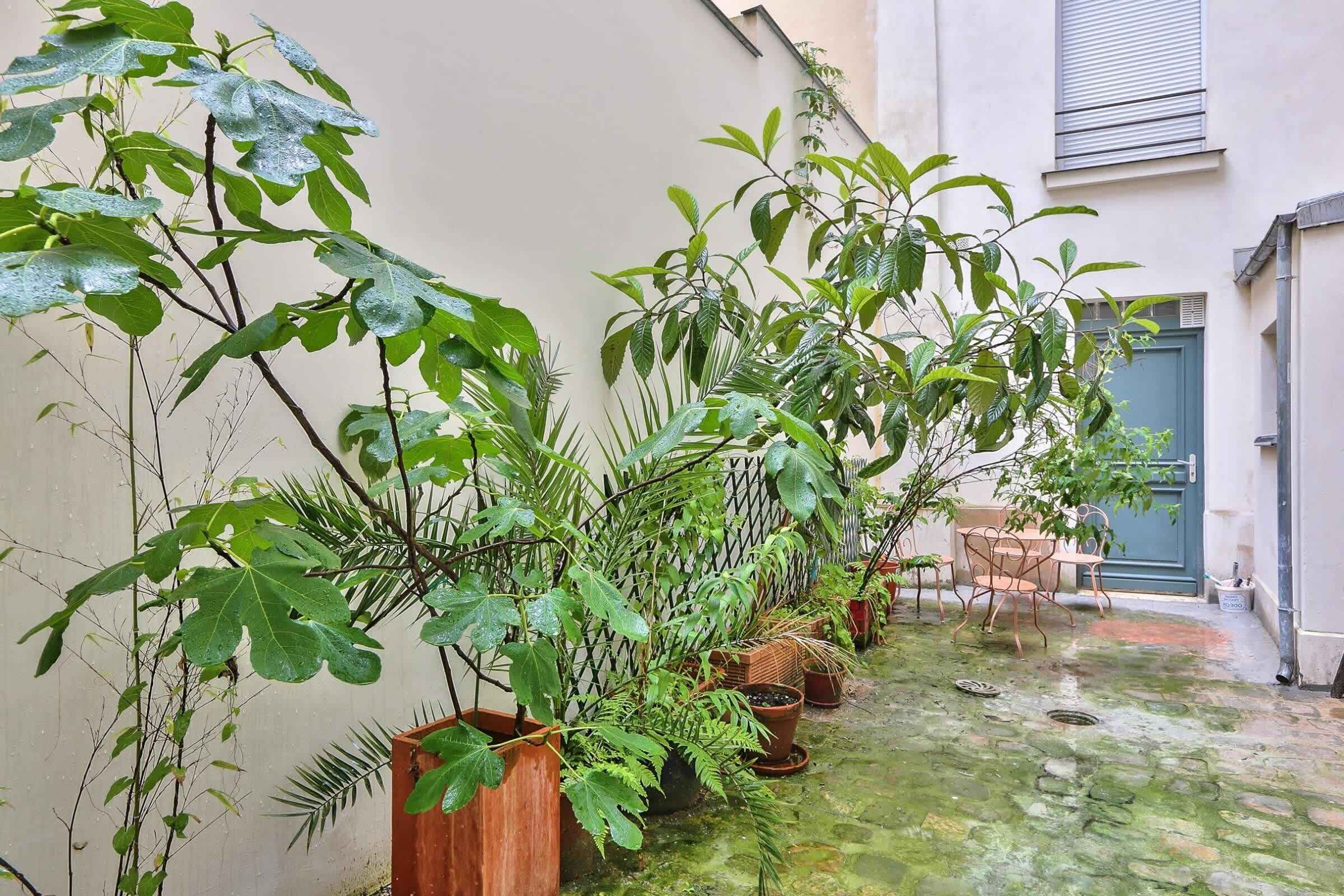 Terraza o patio