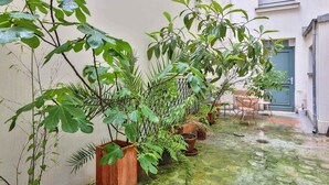 Un petit espace extérieur, agrémenté de plantes en pot, d’une chaise en métal et d’une porte bleue.