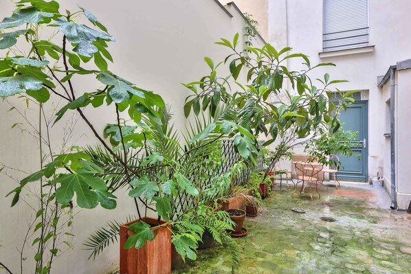 A narrow outdoor space with potted plants, a metal chair, and a blue door.