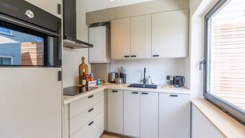 Apartment | 2 bilik tidur, Internet
