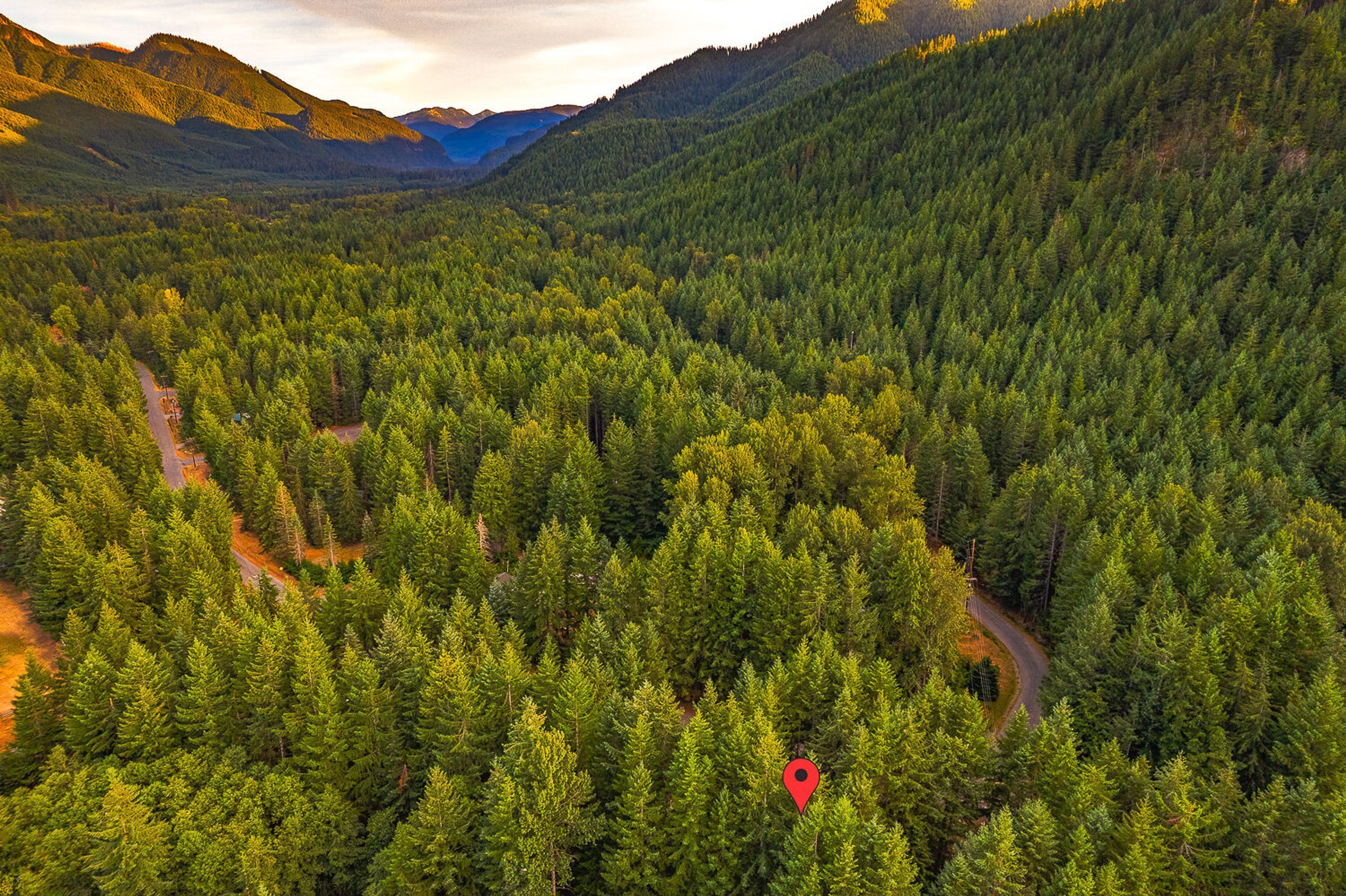 A dense forest with a winding road and a red location marker.
