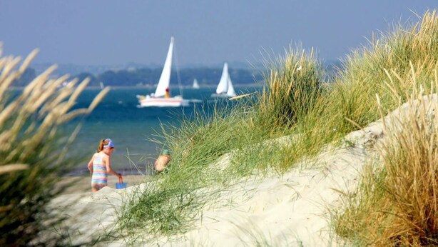 A beach with sand dunes and a clear view of sailboats on the water.
