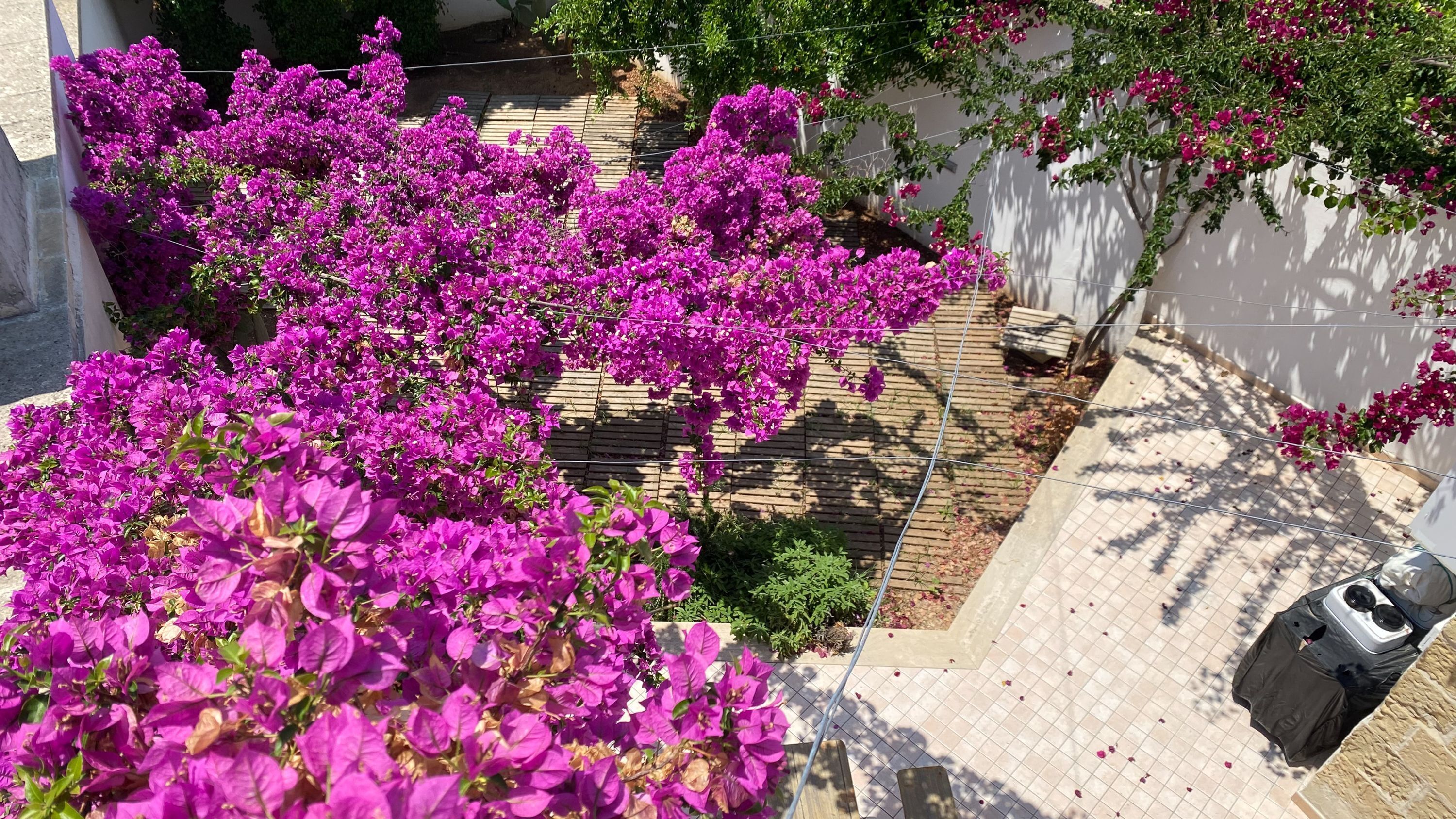 Apartment | 1 Schlafzimmer