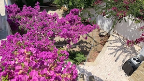 Un jardín con vibrantes flores de buganvilla moradas, una terraza de madera y una pared blanca.