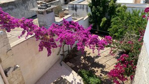 公寓 | 1 多间卧室