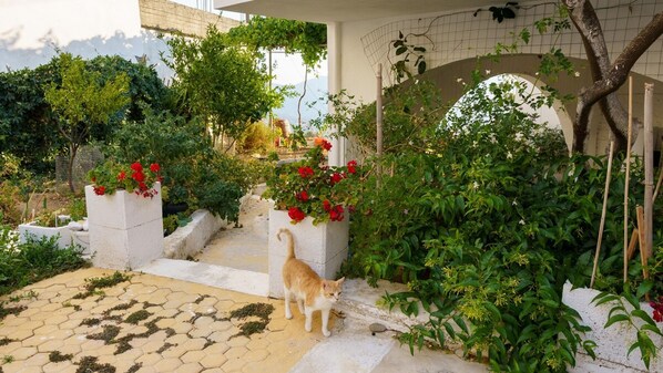 2 bedrooms - Emphasis Traditional House (Amari)