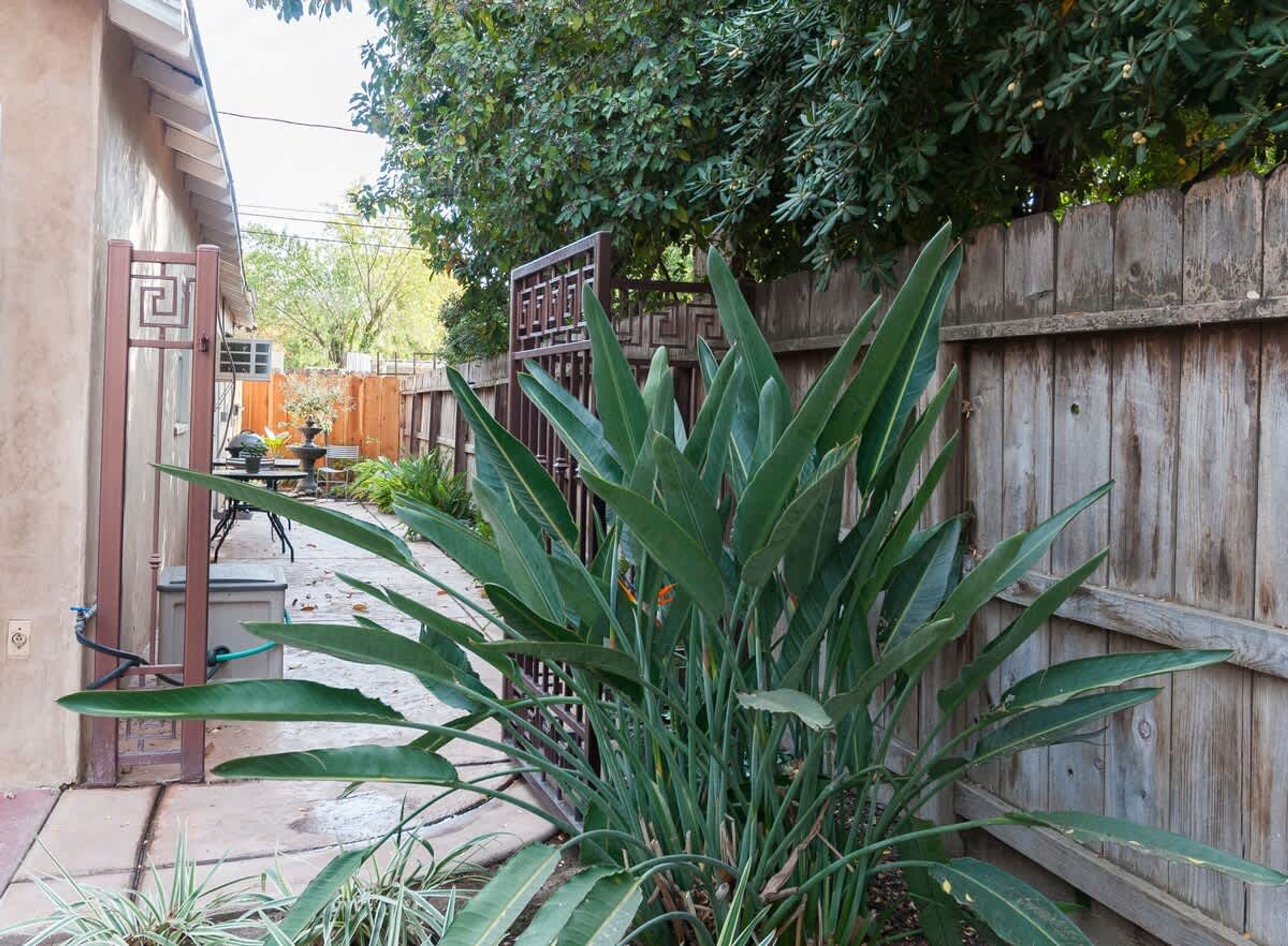 A residential backyard with a wooden fence, a gate, and various plants.