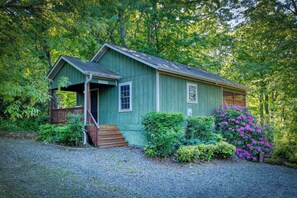 Exterior - Treetop View | HotTub | Fireplace | EVCharger (Asheville)