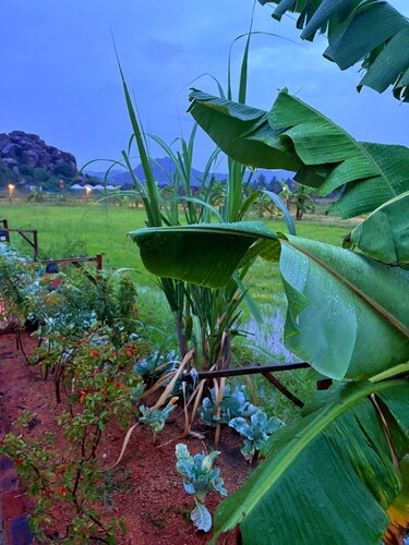 Oshos Organic Resort Hampi