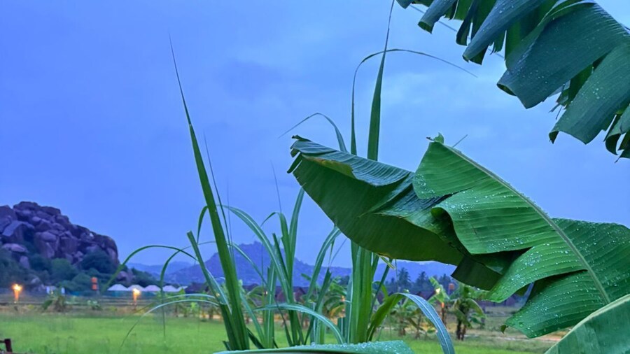 Oshos Organic Resort Hampi