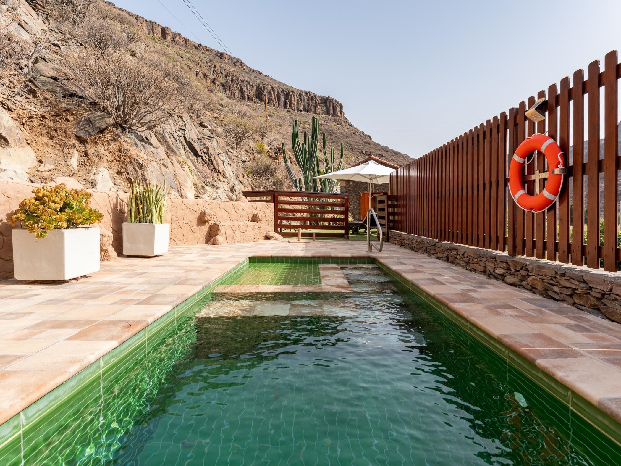 A swimming pool with a wooden fence, a lifebuoy, and desert plants.