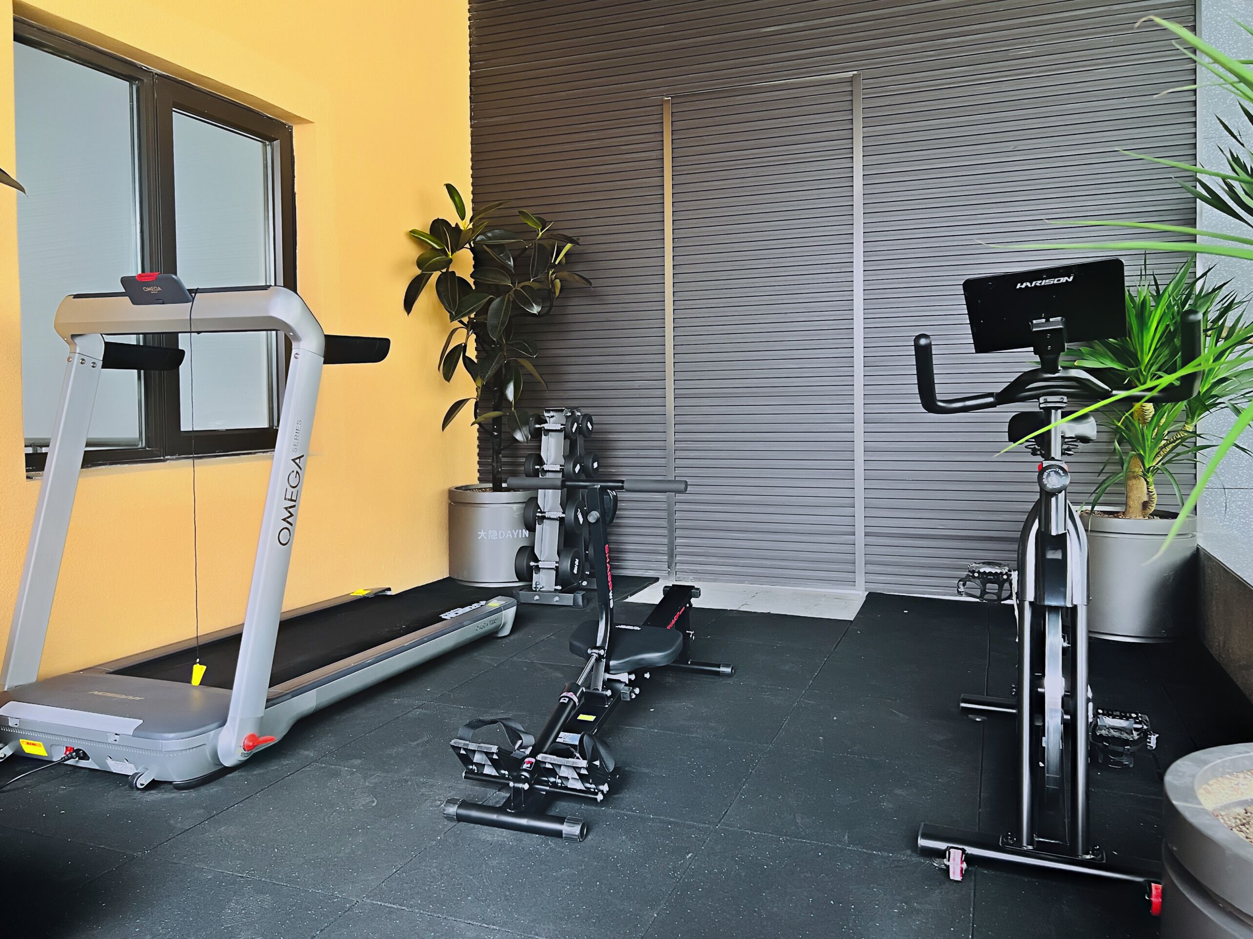 A gym with a treadmill, weight bench, and exercise equipment.