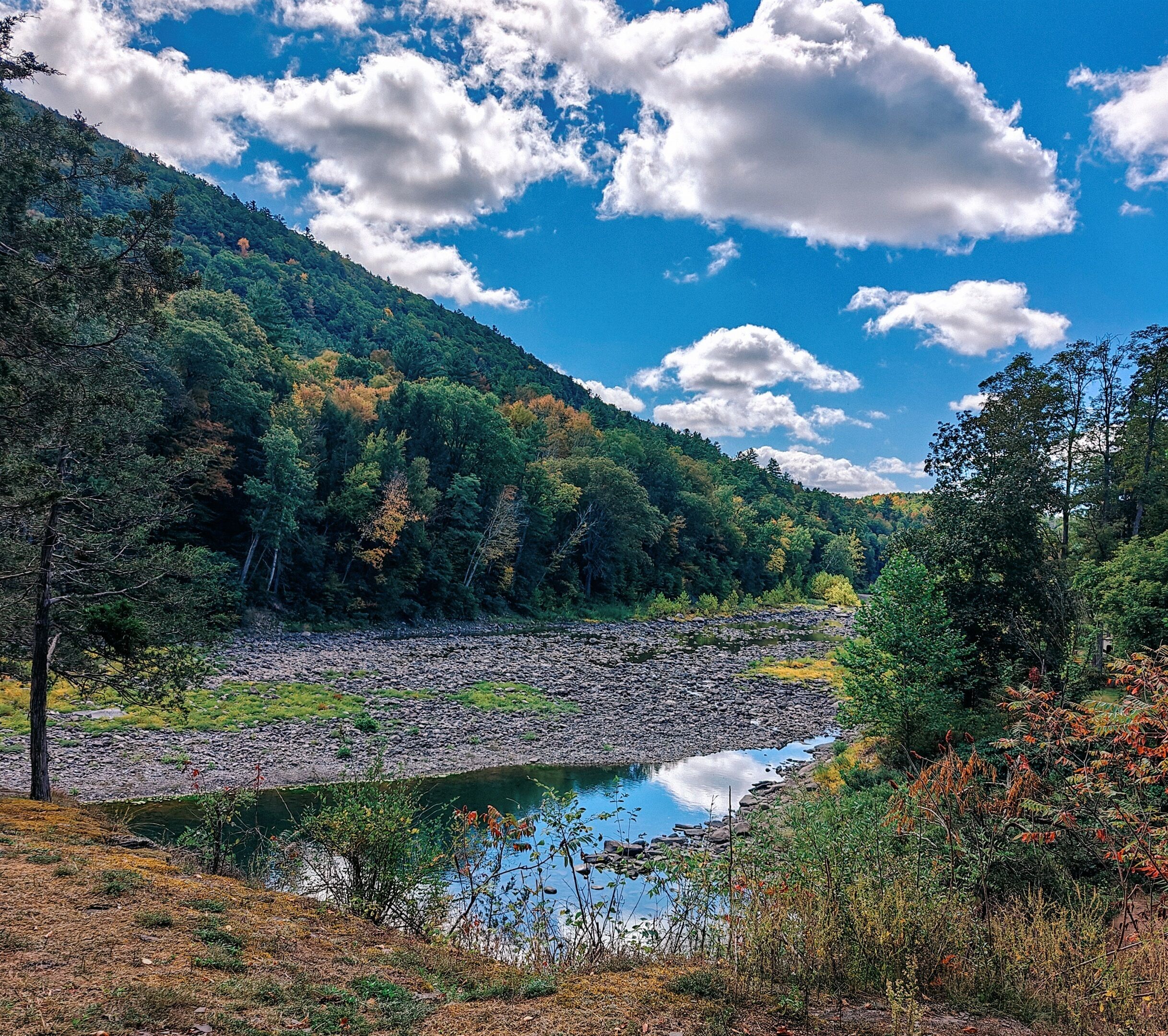 Une rivière à lit rocheux, bordée d’une forêt dense et avec une colline en arrière-plan.