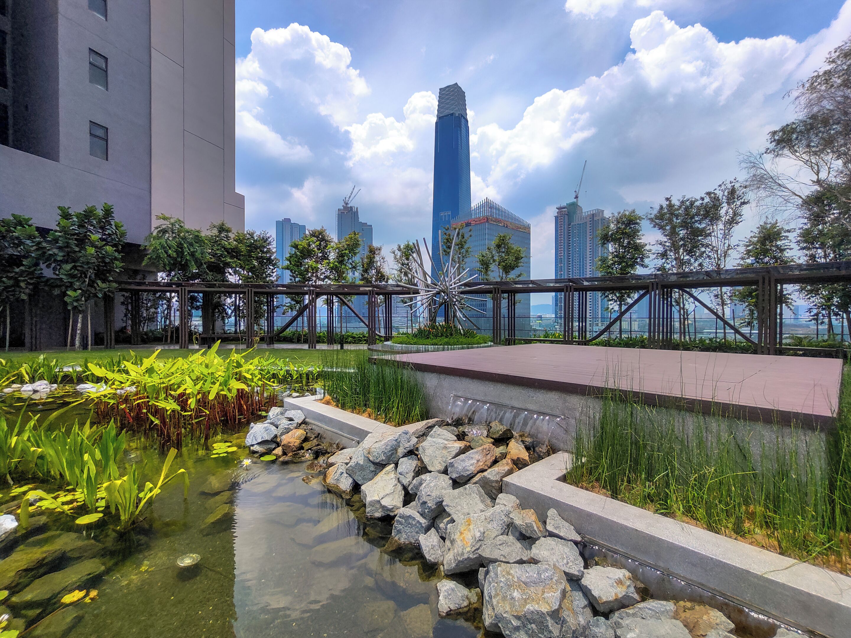 A rooftop garden with a pond, rocks, and plants.