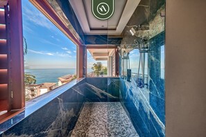 Ducha, secador de pelo, toallas