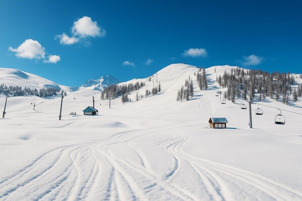 Deportes de invierno y ski