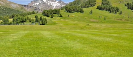 Un champ verdoyant avec une montagne en arrière-plan.