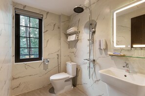 Shower, hair dryer, towels
