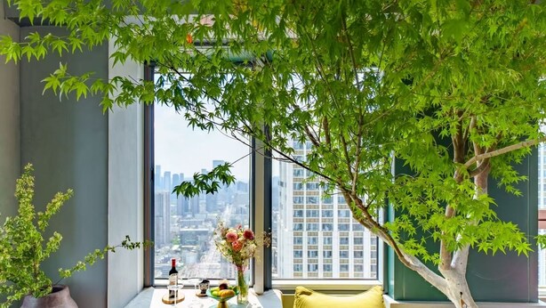 A room with a large window, a potted tree, and a table with a vase and a bottle. - M Panda Tower Boutique Hotel (Chengdu)
