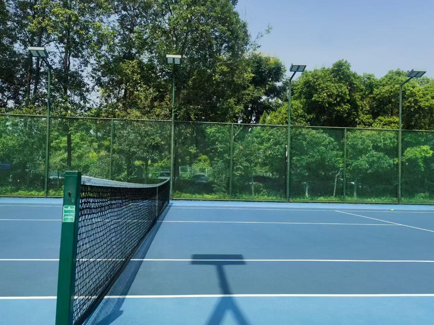 Ein Tennisplatz mit Netz, umgeben von einem grünen Zaun und Bäumen.
