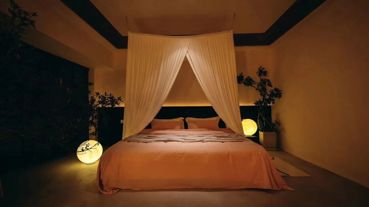 A bedroom with a bed, canopy, bedside lamps, and a wall-mounted clock.