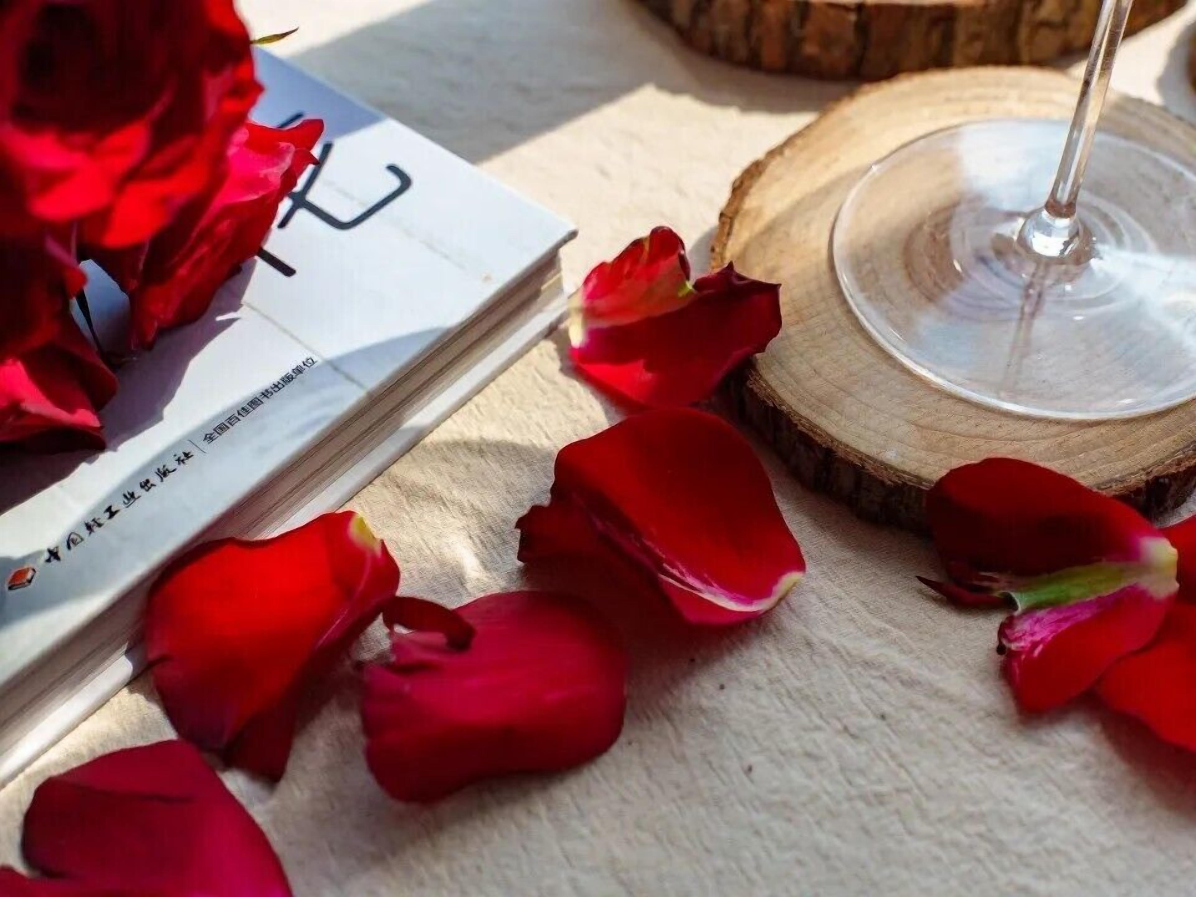 A book with Chinese characters, surrounded by red rose petals on a textured surface.