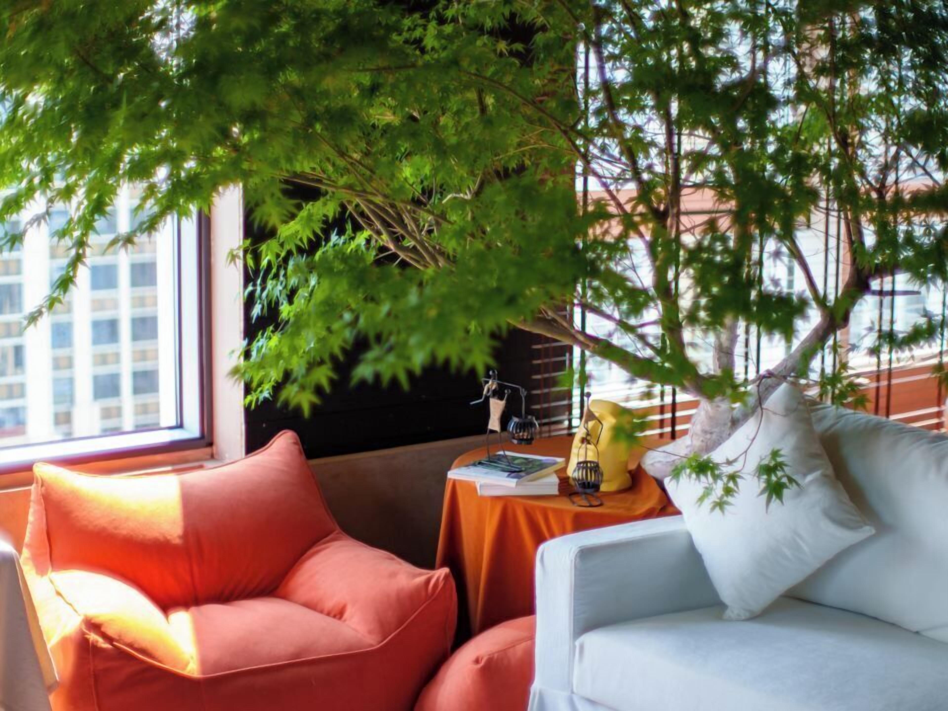 Un rincón acogedor con un sofá y una silla bajo un árbol, una mesita con una lámpara y una ventana con vistas a edificios.
