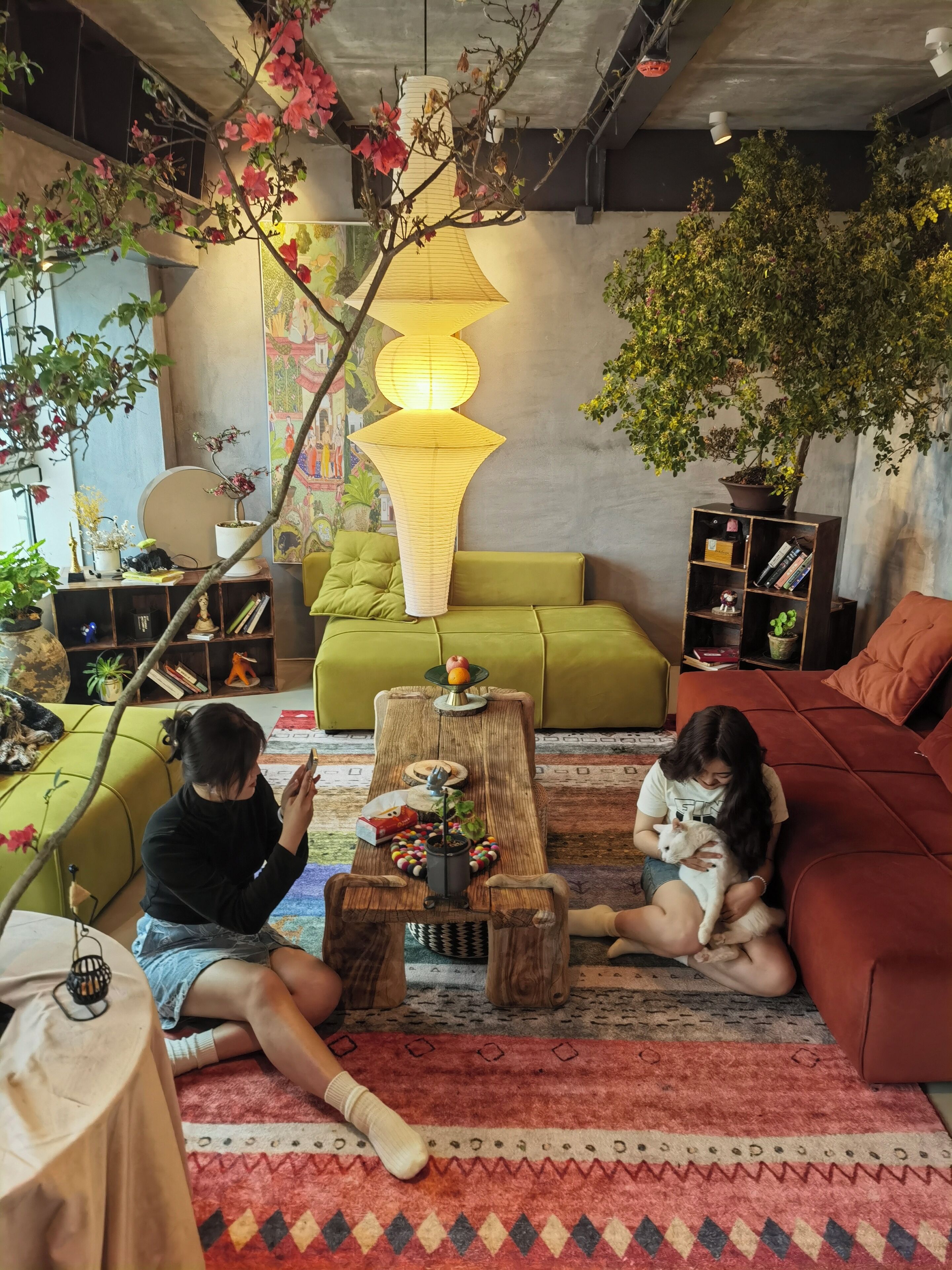 A cozy living room with a green sofa, a wooden coffee table, and a red couch. There are potted plants and a large lamp.