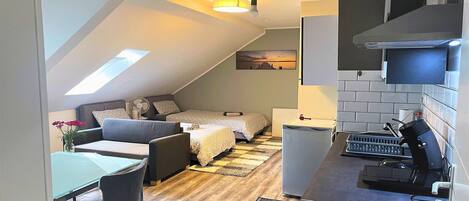 Ferros/tábuas de passar roupa, acesso à internet