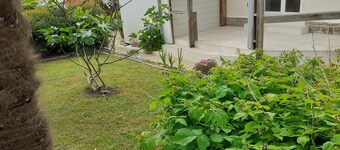 Small house with small garden near city center