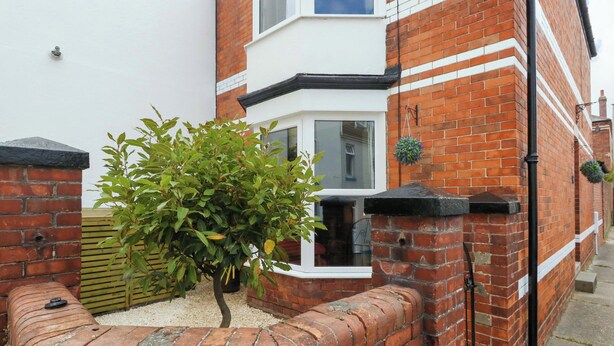 Une maison en briques avec une fenêtre blanche, un petit arbre dans le jardin et une plante suspendue au mur.