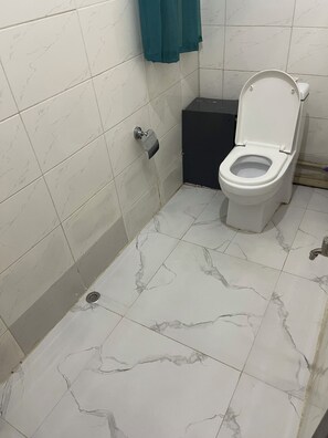 Chuveiro, secador de cabelo, toalhas de banho, papel higiênico