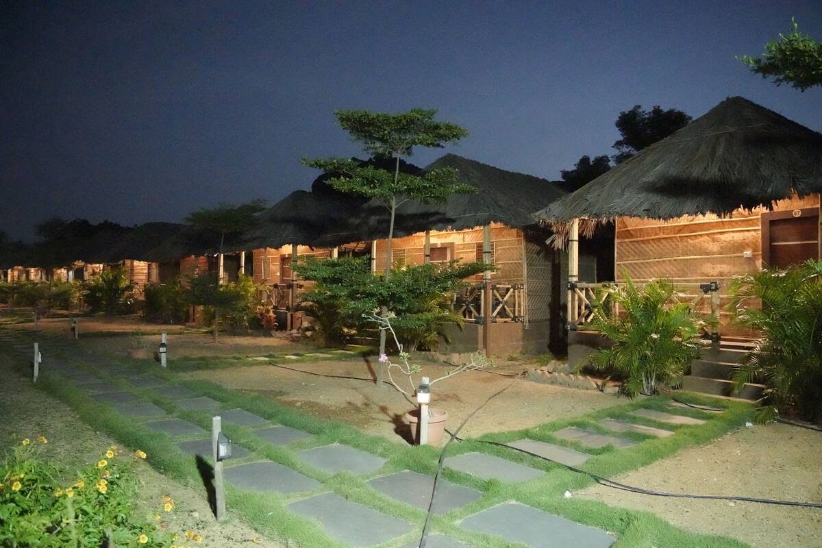 A row of thatched-roof cottages with a paved garden area in the foreground.