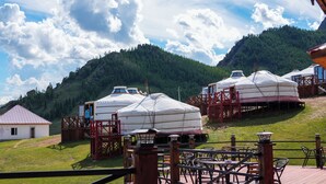 Yurts on a grassy hillside with a mountain in the background. - Bayankhad Star Lodge (Ulaanbaatar)