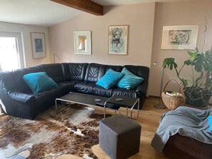 Télévision, cheminée, livres