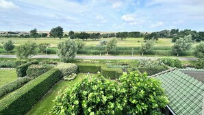 A landscaped garden with neatly trimmed hedges and a variety of trees.